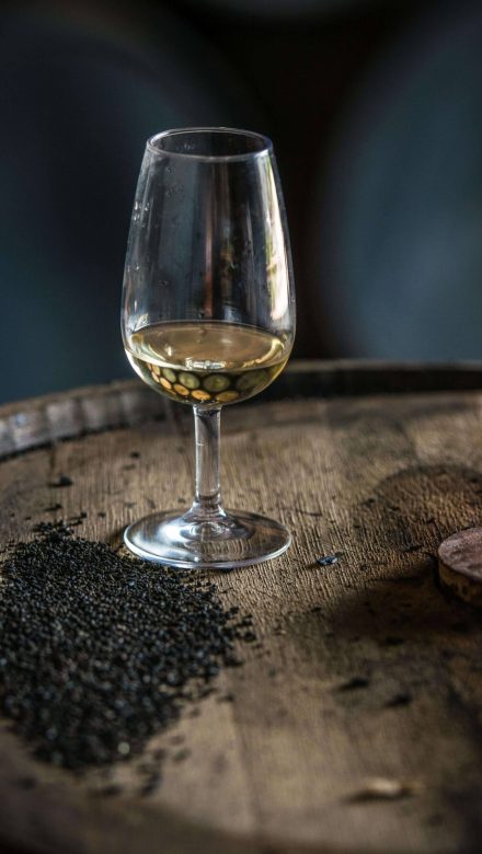 Havana Club 15 Jahre pur genießen