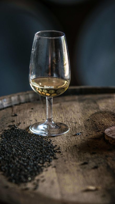 Havana Club 15 Jahre pur genießen