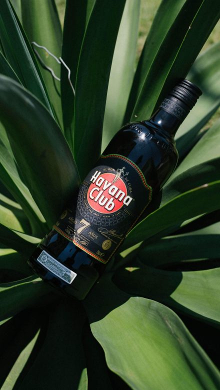 Havana Club 7 Flasche Moodbild