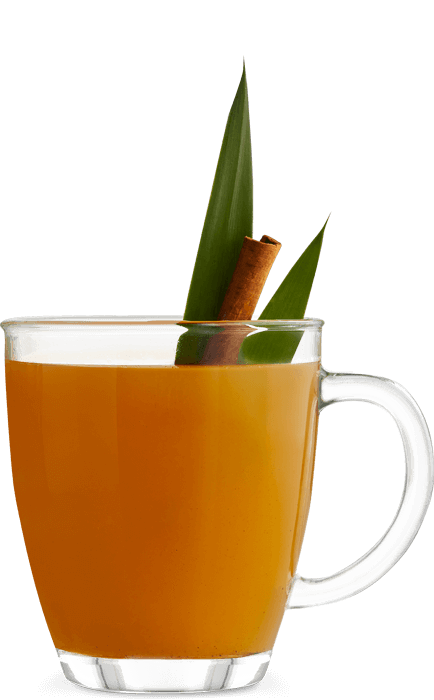 Recette du Tropical Winter Holidays Havana Club 3