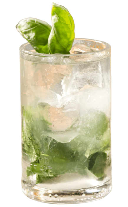 bebida Basil Mojito