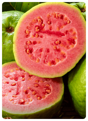guava